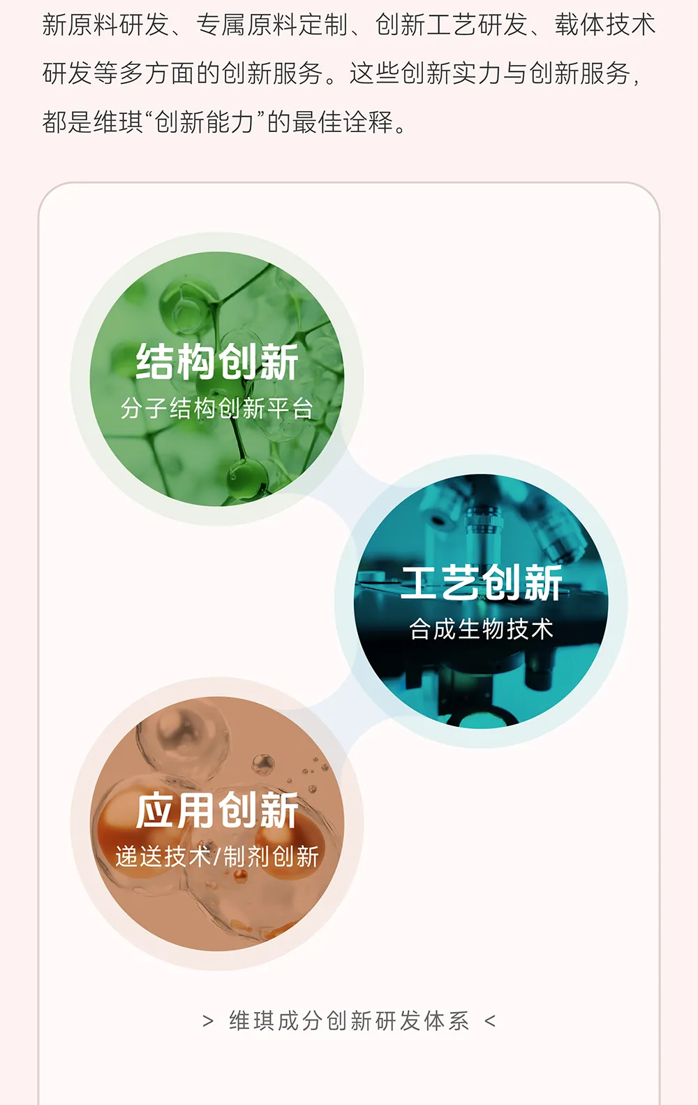 维琪科技荣获第七批国家级专精特新“小巨人”企业认定！