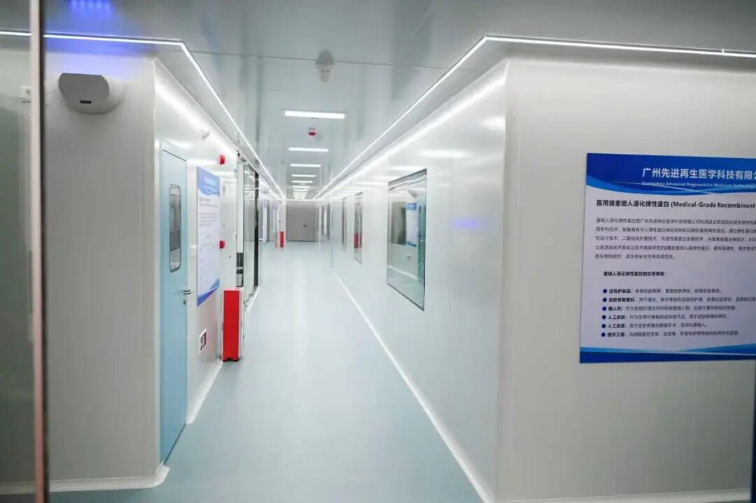 从代理到标杆:广州际洲 16 年深耕,重塑中国功效原料产业格局