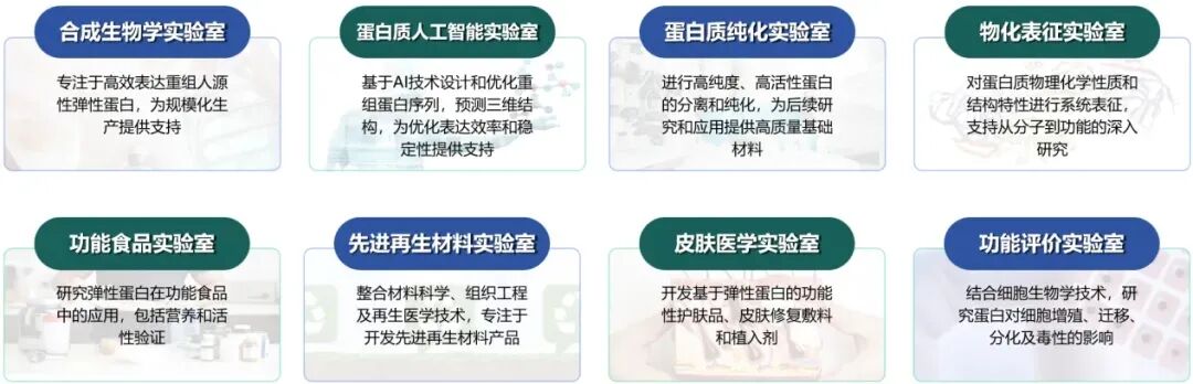 从代理到标杆:广州际洲 16 年深耕,重塑中国功效原料产业格局