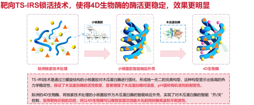 从代理到标杆:广州际洲 16 年深耕,重塑中国功效原料产业格局