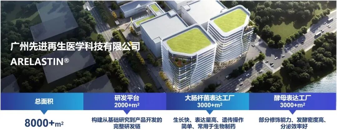 从代理到标杆:广州际洲 16 年深耕,重塑中国功效原料产业格局