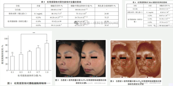 香格里拉松茸 × 发酵实验室，优科生物攻克发酵壁垒，喜获国家专利