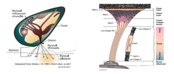 备案数量再创新高！10月化妆品新原料备案汇总