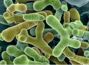 备案数量再创新高！10月化妆品新原料备案汇总