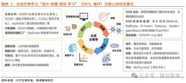 一天吃透一条产业链:合成生物学产业