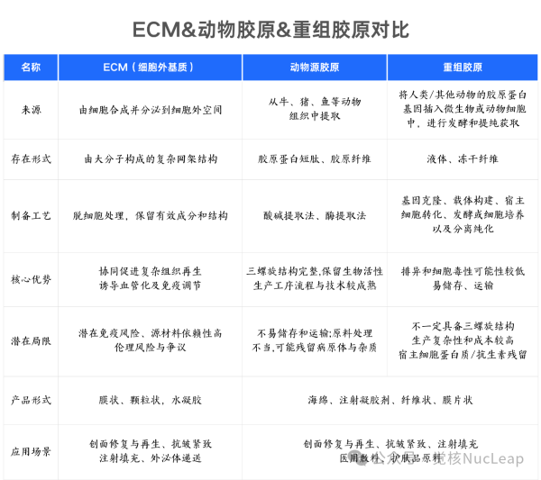 ECM:下一个热门抗衰新材料