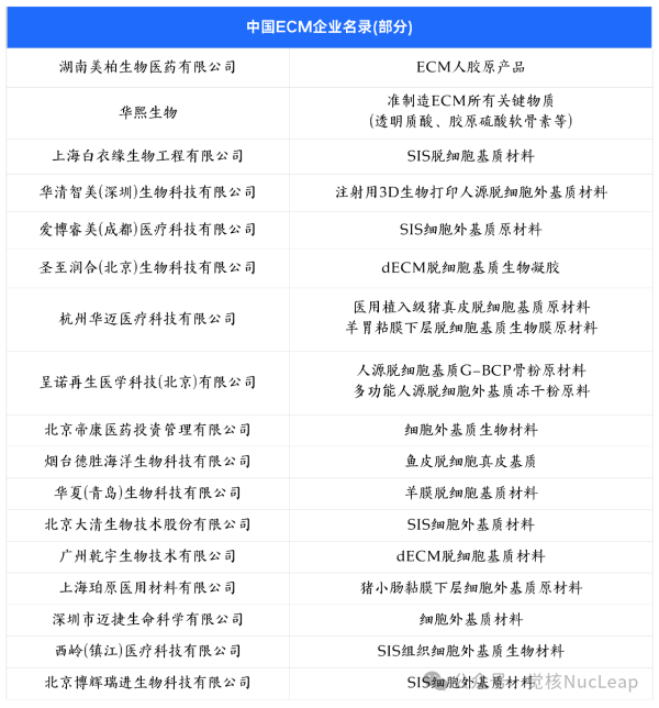 ECM：下一个热门抗衰新材料