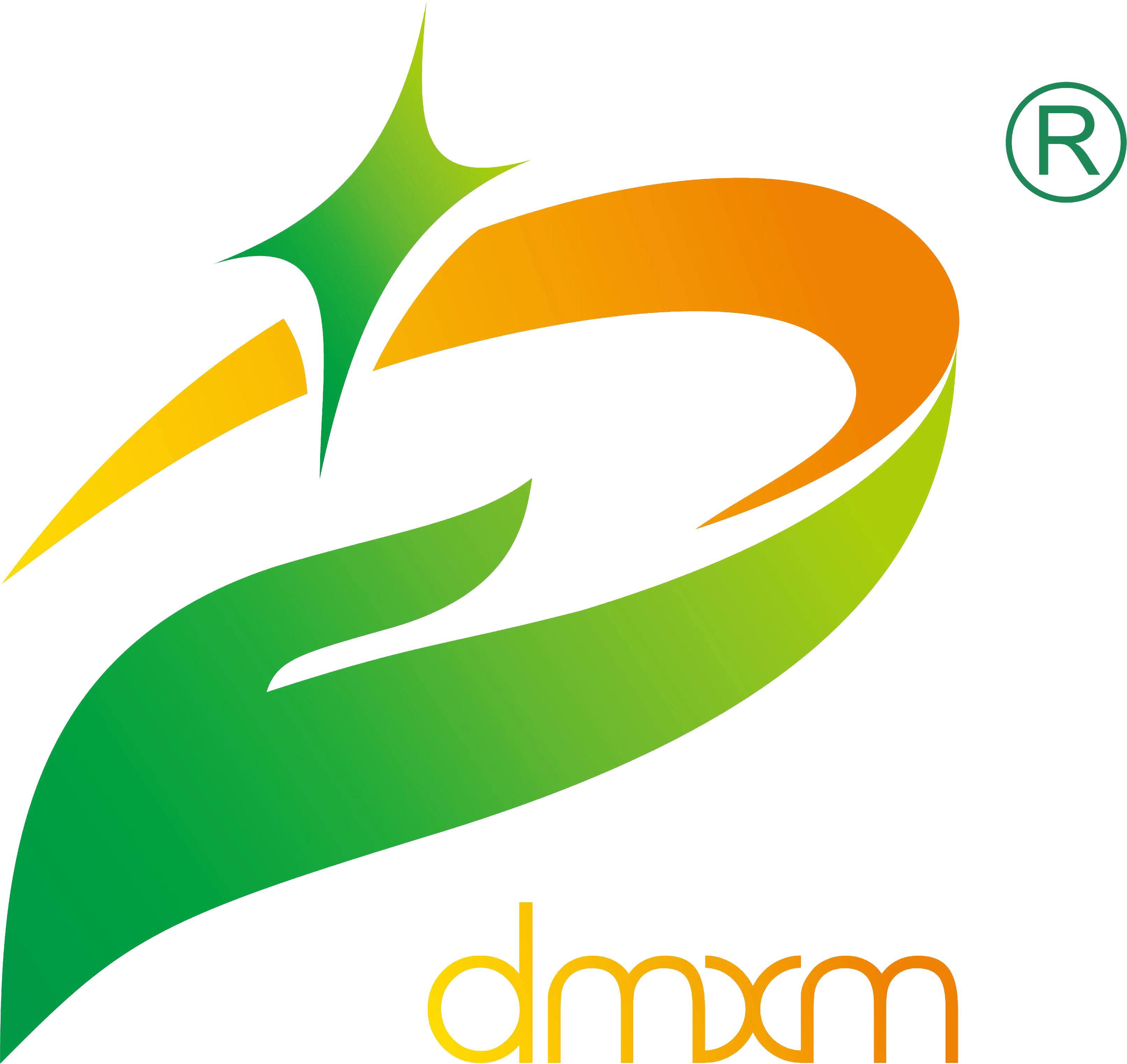 广东迪美新材料科技有限公司