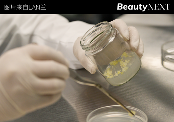 重磅｜欧莱雅集团首投中国护肤品牌「LAN兰」