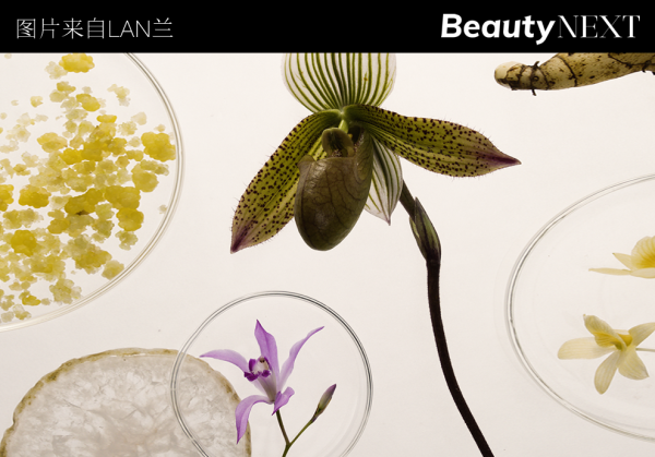 重磅｜欧莱雅集团首投中国护肤品牌「LAN兰」