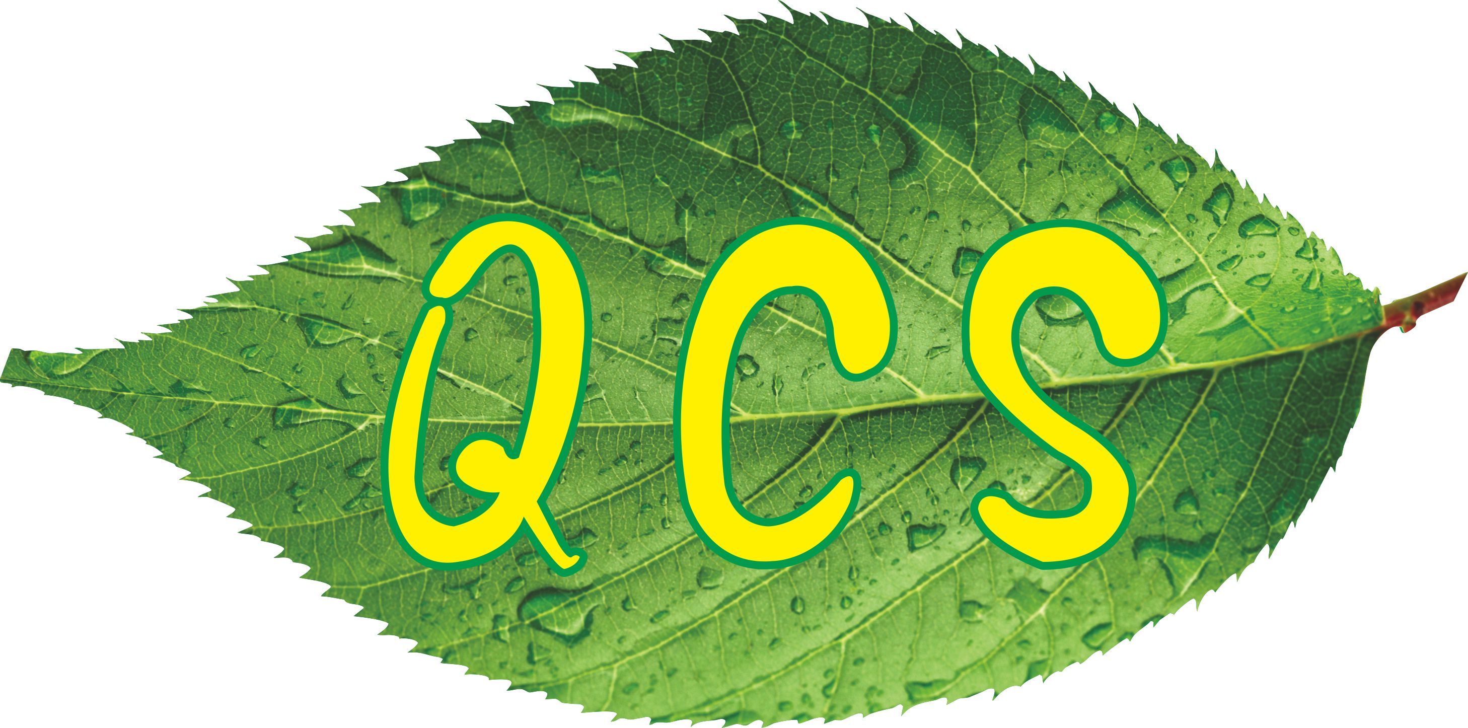 珠海市祺成盛贸易有限公司