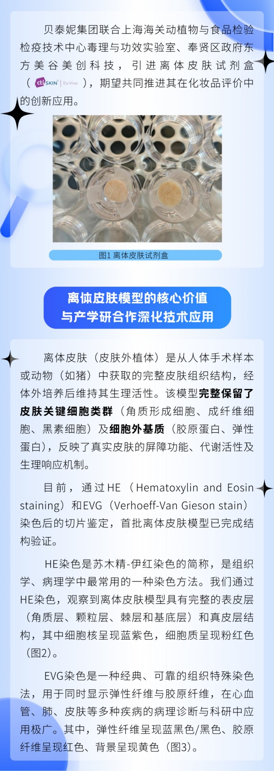 New ! 贝泰妮集团引进离体皮肤模型 赋能化妆品精准评估