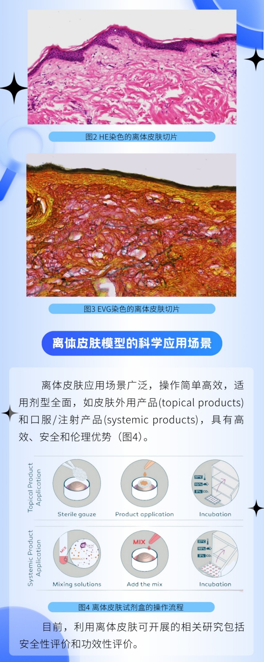 New ! 贝泰妮集团引进离体皮肤模型 赋能化妆品精准评估