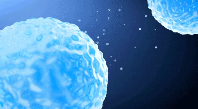 恩泽康泰完成近亿元B轮融资，助力开发新一代外泌体再生疗法及系统抗衰解决方案