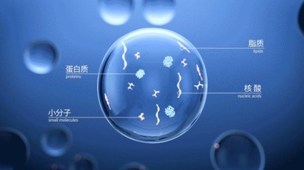 恩泽康泰完成近亿元B轮融资，助力开发新一代外泌体再生疗法及系统抗衰解决方案