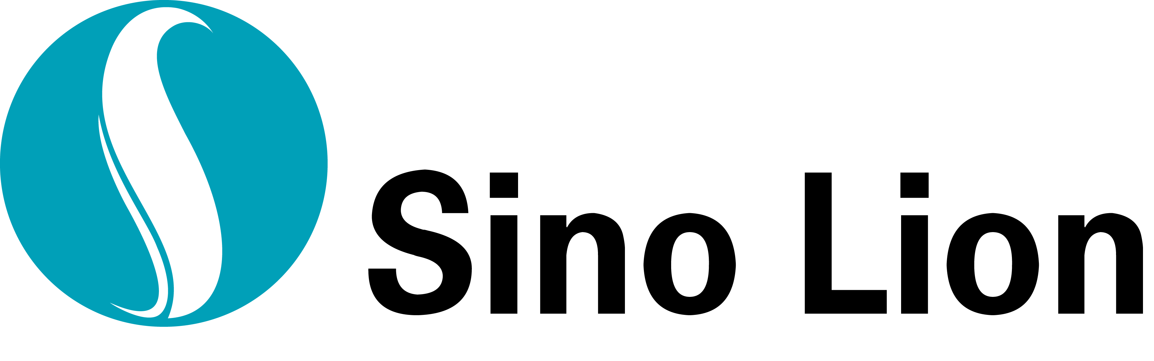 上海中狮科技发展有限公司