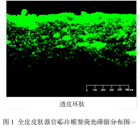 一文读懂 2025 原料备案：肽类狂欢背后，“异种化 + 食品入妆” 成新赛道