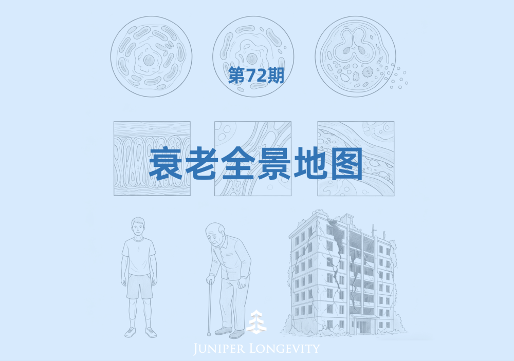 Nature 力荐：一张图看懂衰老本质，终结抗衰 “盲人摸象” 时代
