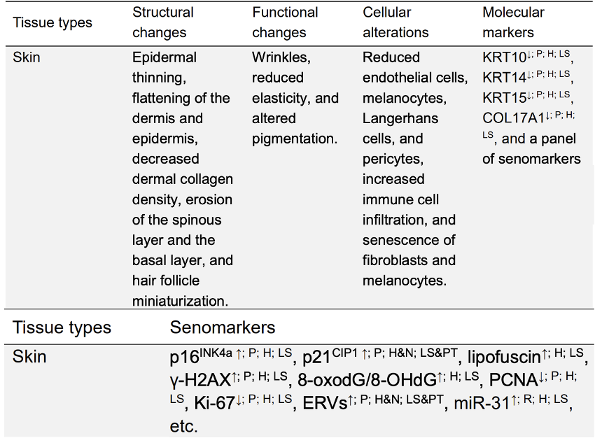 Nature 力荐：一张图看懂衰老本质，终结抗衰 “盲人摸象” 时代