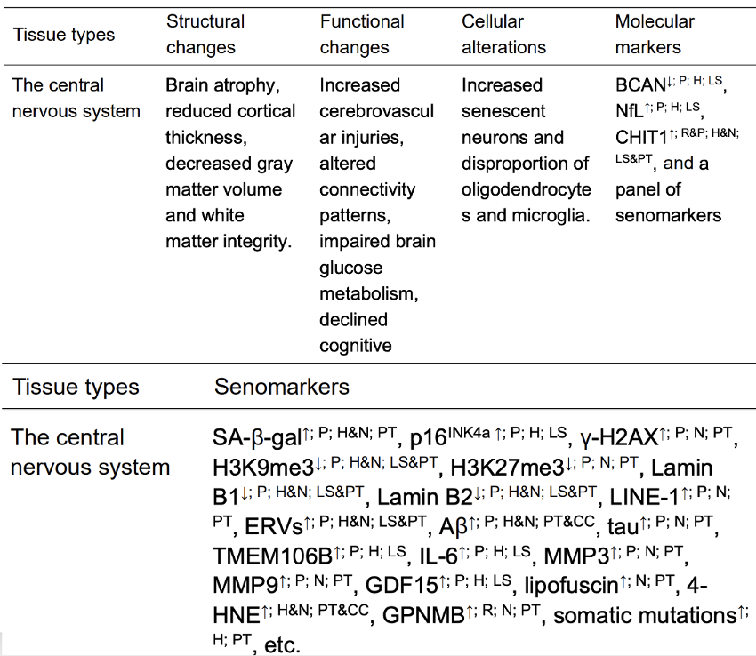 Nature 力荐：一张图看懂衰老本质，终结抗衰 “盲人摸象” 时代