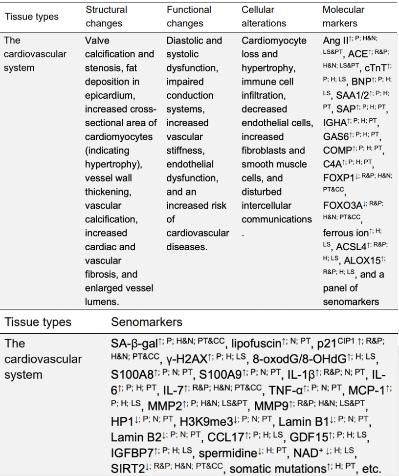 Nature 力荐：一张图看懂衰老本质，终结抗衰 “盲人摸象” 时代