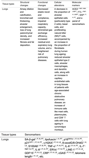 Nature 力荐：一张图看懂衰老本质，终结抗衰 “盲人摸象” 时代