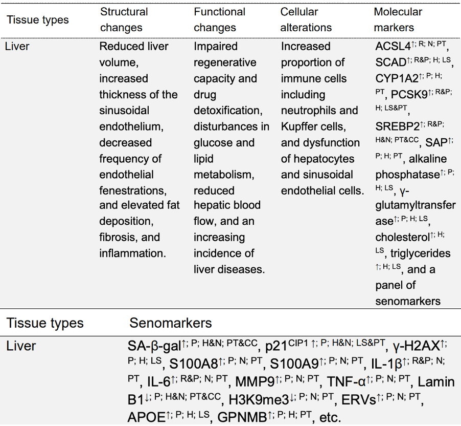 Nature 力荐：一张图看懂衰老本质，终结抗衰 “盲人摸象” 时代