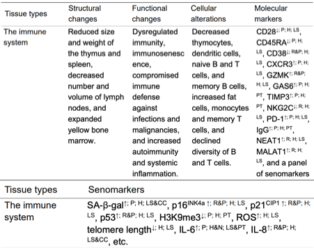 Nature 力荐：一张图看懂衰老本质，终结抗衰 “盲人摸象” 时代