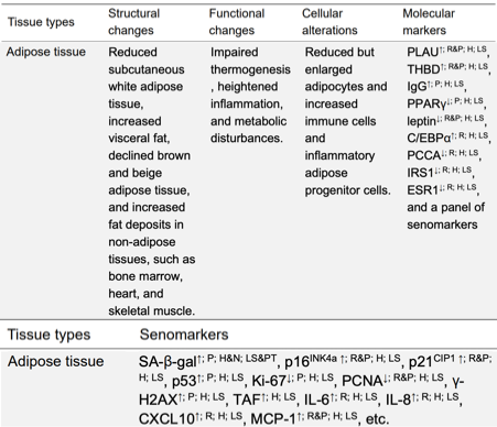 Nature 力荐：一张图看懂衰老本质，终结抗衰 “盲人摸象” 时代