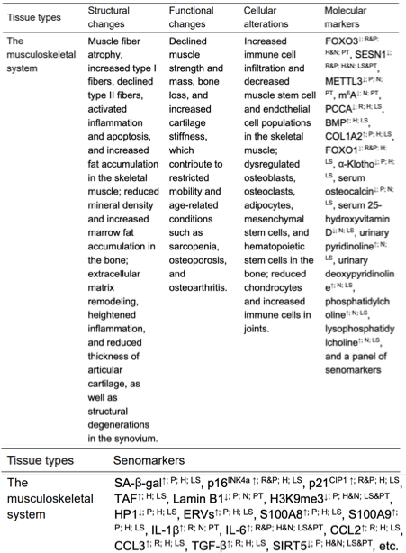 Nature 力荐：一张图看懂衰老本质，终结抗衰 “盲人摸象” 时代