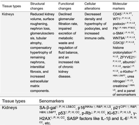 Nature 力荐：一张图看懂衰老本质，终结抗衰 “盲人摸象” 时代