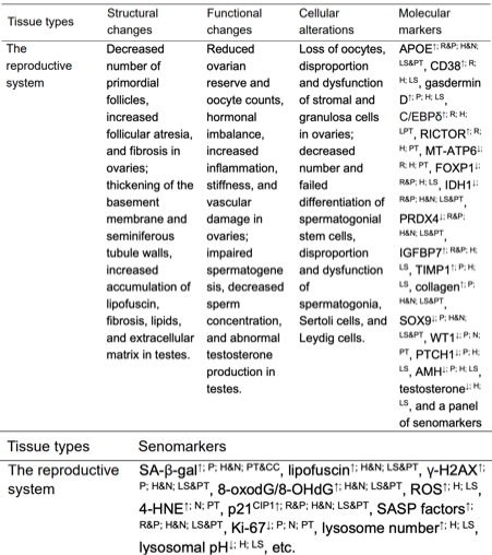 Nature 力荐：一张图看懂衰老本质，终结抗衰 “盲人摸象” 时代