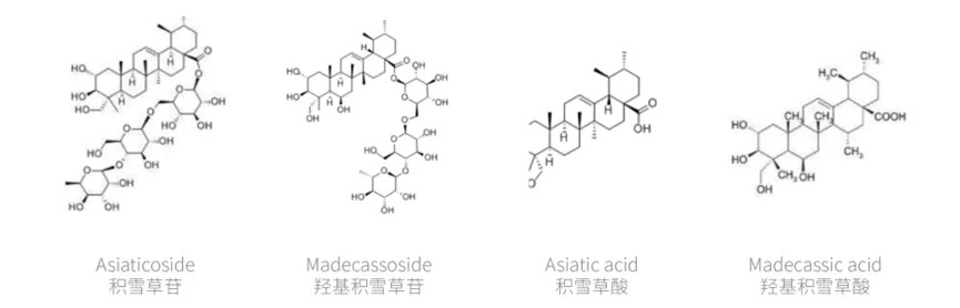 2025年1-10月“祛斑美白”热门成分TOP10