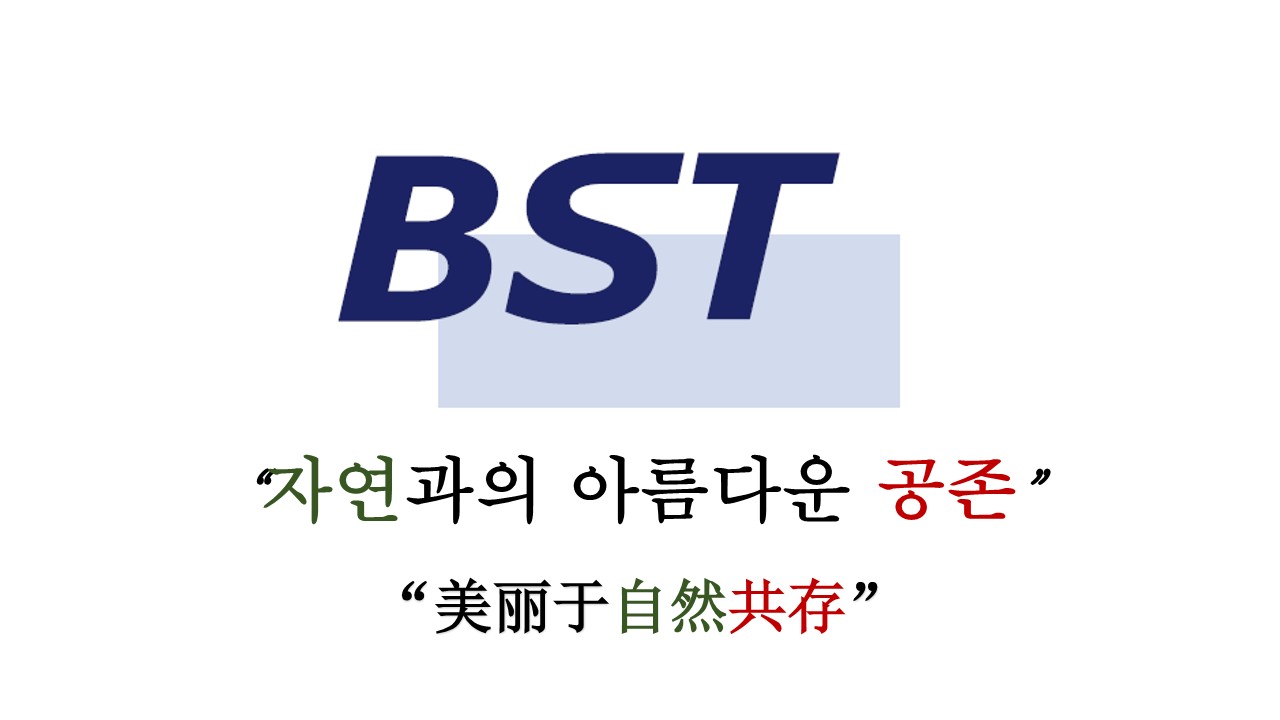 BST Inc.