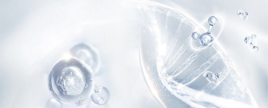 超分子腺苷改写个护效能的实战指南