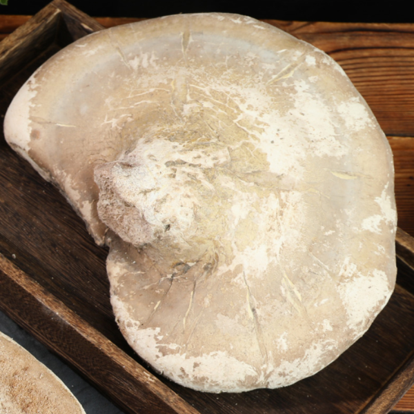 2026年首个化妆品新原料备案公示