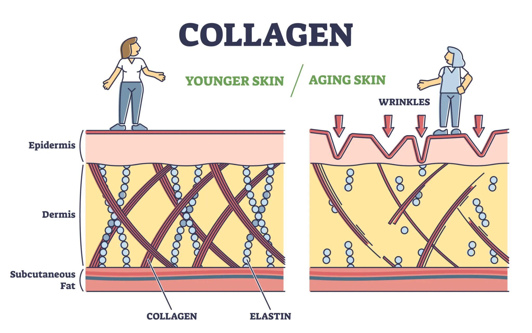 揭秘路博润全新抗老成分
