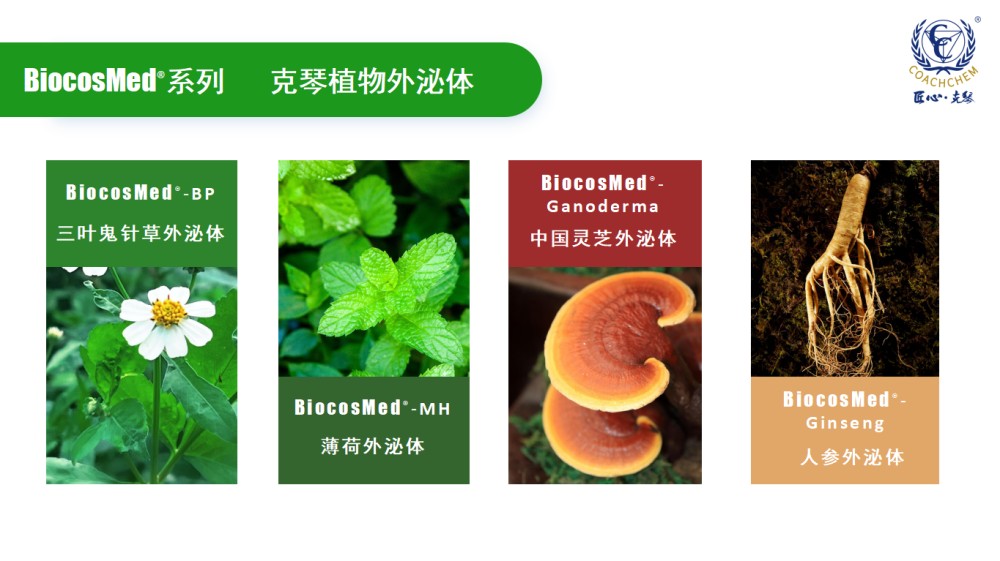 国内企业跑通外泌体全链路，功效护肤迈入量产时代