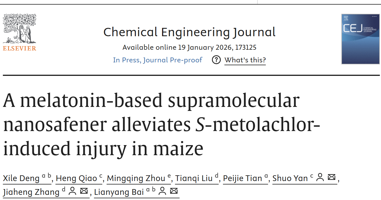 第三次联手！杉海创新×柏连阳院士团队再发顶刊论文，超分子纳米安全剂为玉米打造“分子护甲”