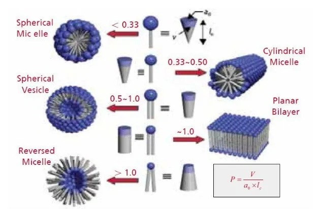 表面活性剂临界堆积参数：理论基础与应用研究