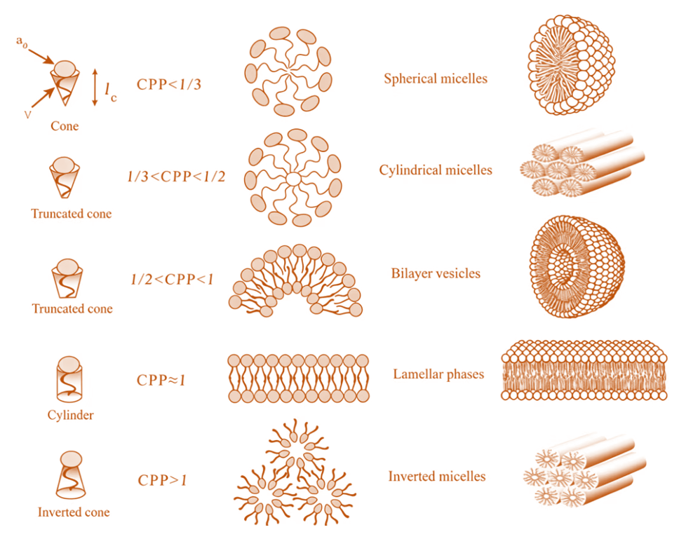 表面活性剂临界堆积参数：理论基础与应用研究