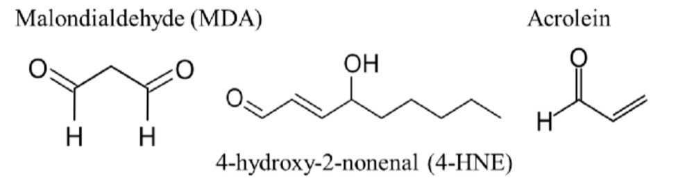 欧莱雅 + 资生堂双研究揭秘皮肤发黄的分子机制