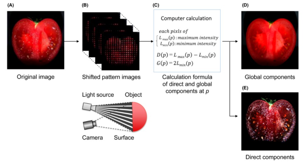 欧莱雅 + 资生堂双研究揭秘皮肤发黄的分子机制