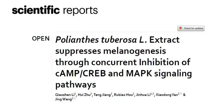 馥郁满铺×江南大学挖掘晚香玉的美白功效和分子机制