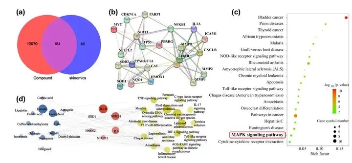 馥郁满铺×江南大学挖掘晚香玉的美白功效和分子机制
