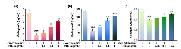 馥郁满铺×江南大学挖掘晚香玉的美白功效和分子机制