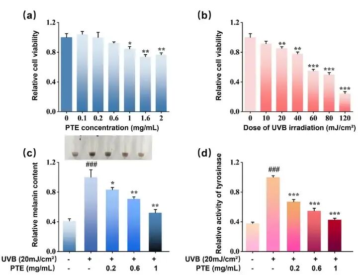 馥郁满铺×江南大学挖掘晚香玉的美白功效和分子机制