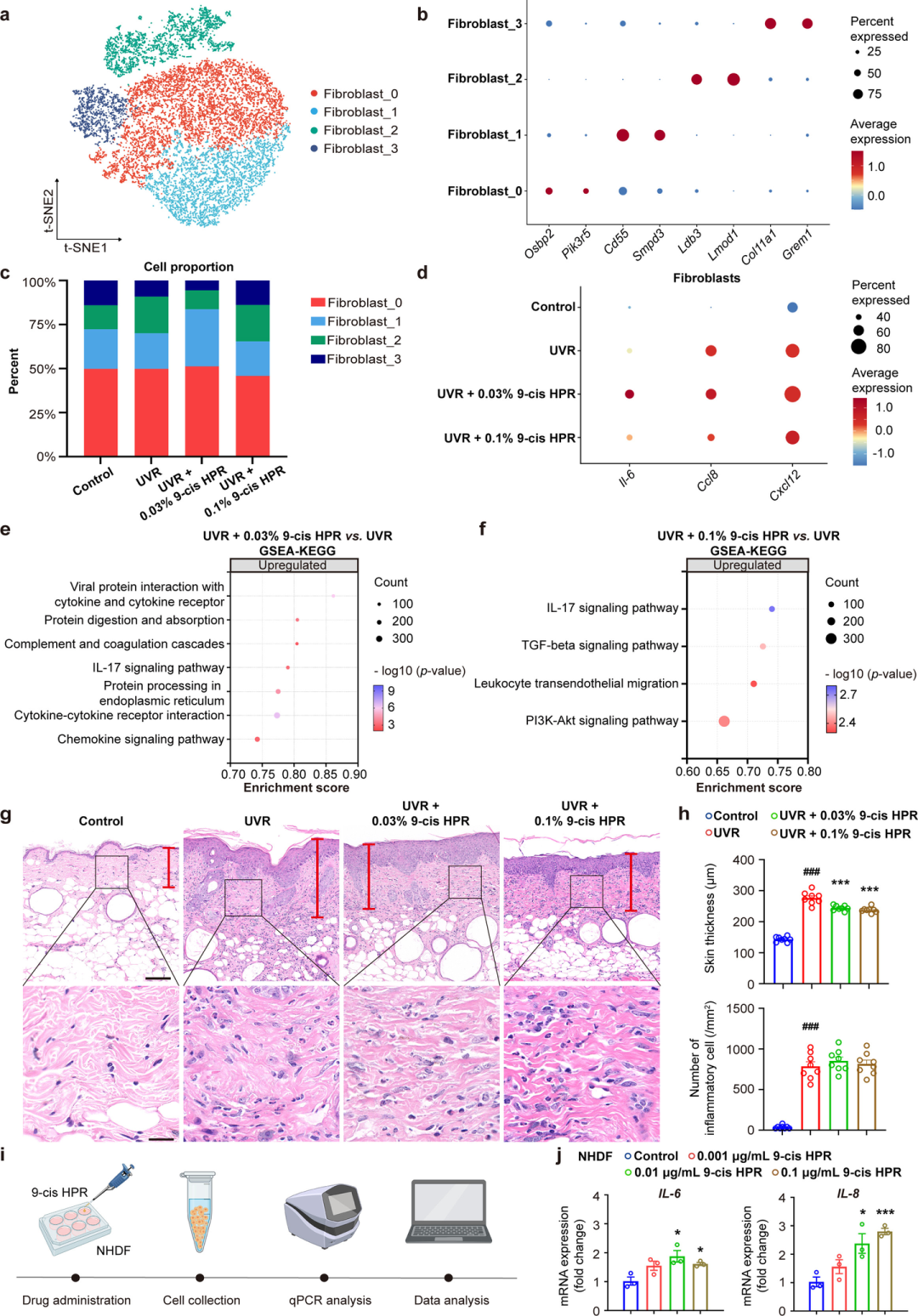 成分应用 || 优时颜探索9-顺式HPR在抗光老中的独特作用机制