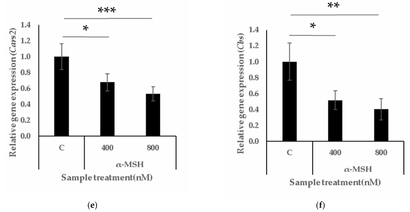 比谷胱甘肽强 10 倍？GSSSG 成为美白新宠，皮肤亮度翻倍