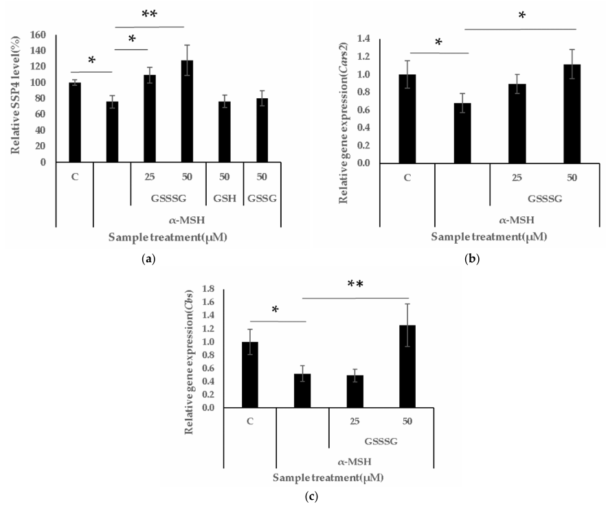 比谷胱甘肽强 10 倍？GSSSG 成为美白新宠，皮肤亮度翻倍